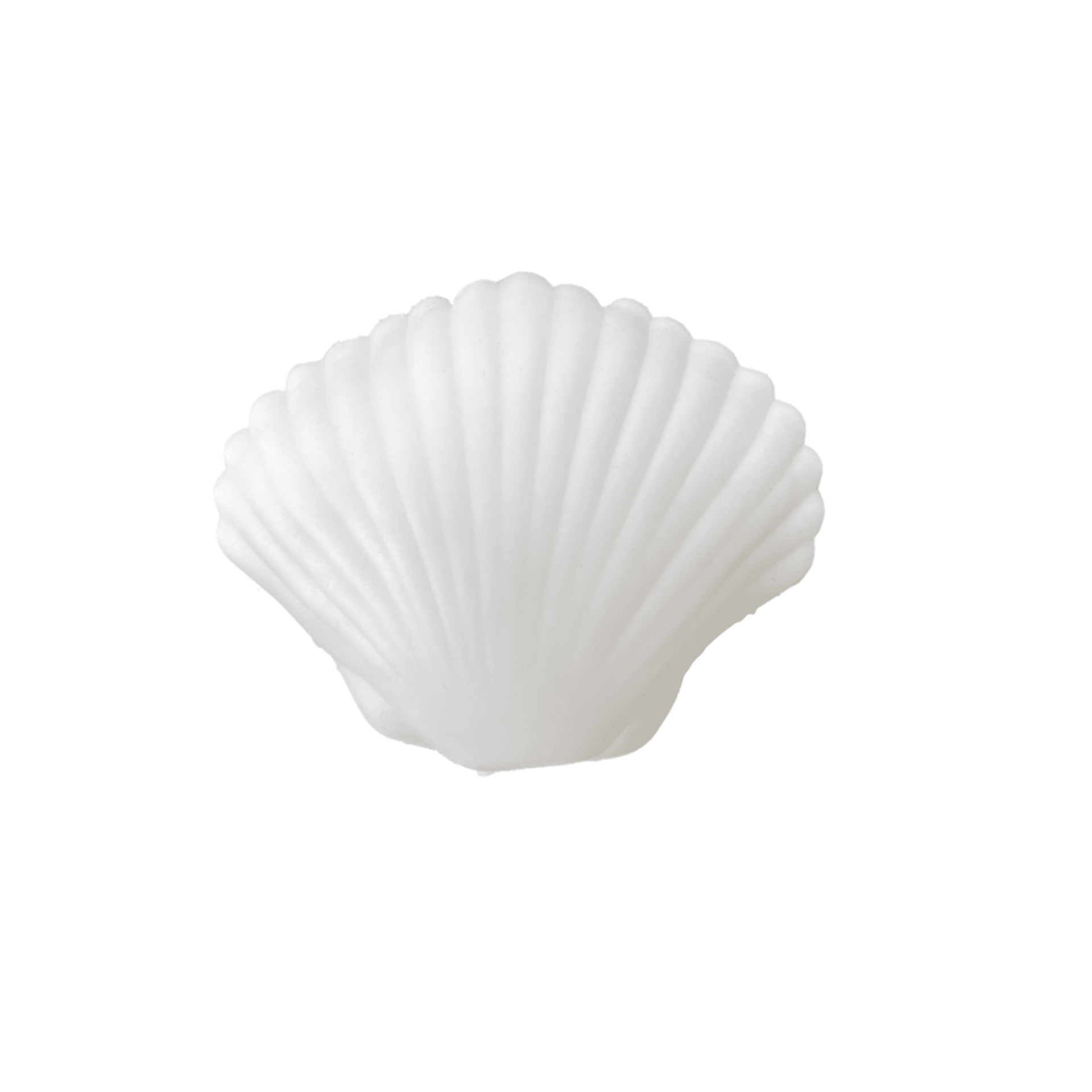 Seaside Clamshell Squeeze Squishy, Daydream Society