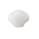 Seaside Clamshell Squeeze Squishy, Daydream Society