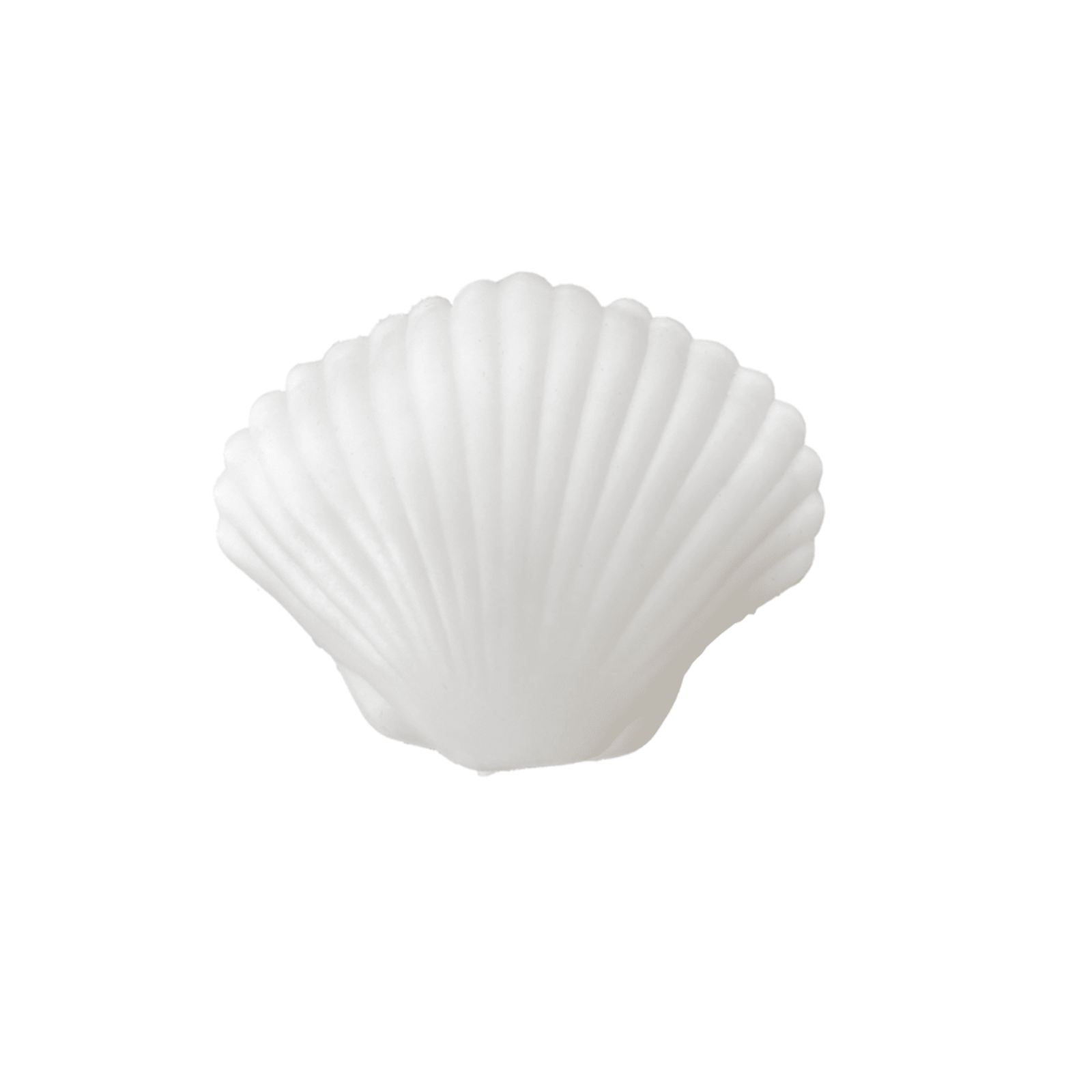 Seaside Clamshell Squeeze Squishy, Daydream Society