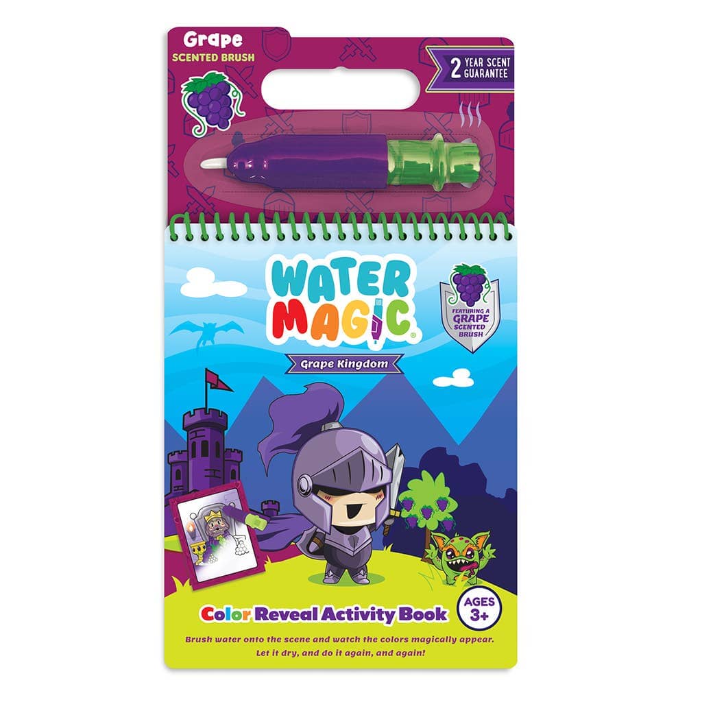 Kingdom Color Reveal Coloring Book, Shopsweetluluss