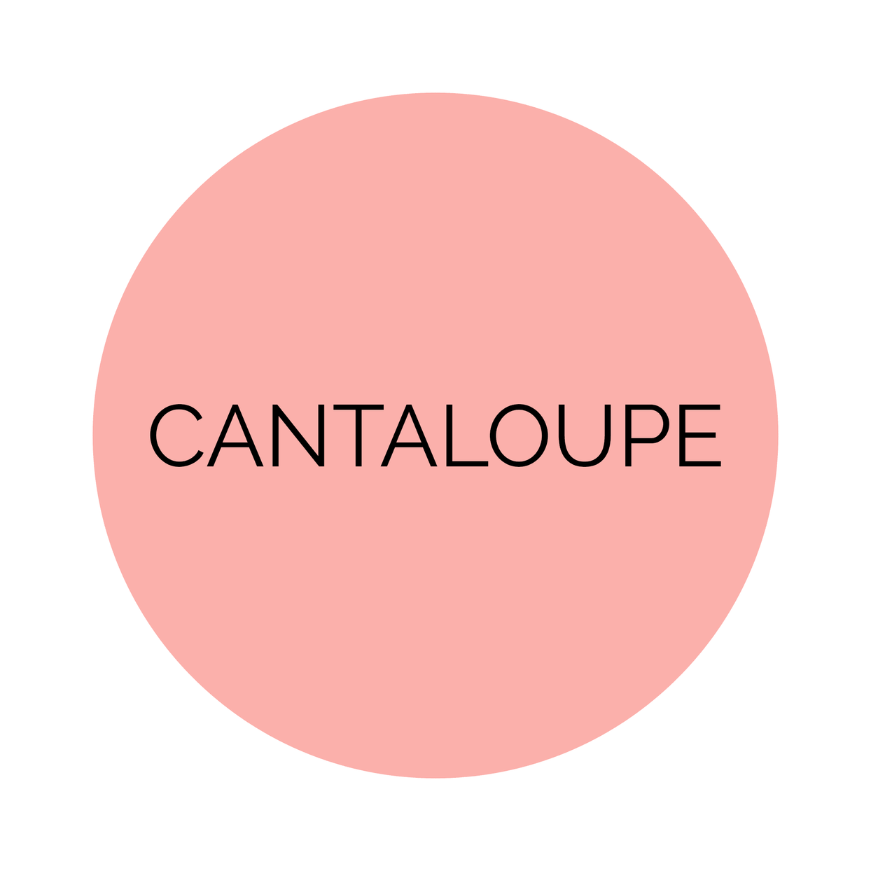 Shades Cantaloupe Dinner Plates