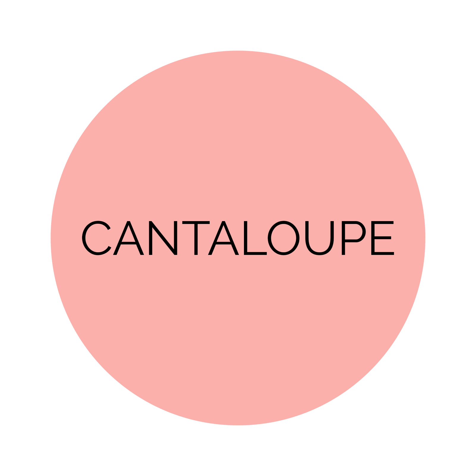 Shades Cantaloupe Dinner Plates
