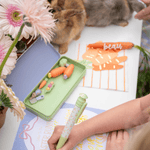 Bunnies In The Garden Eraser Set, Daydream Society