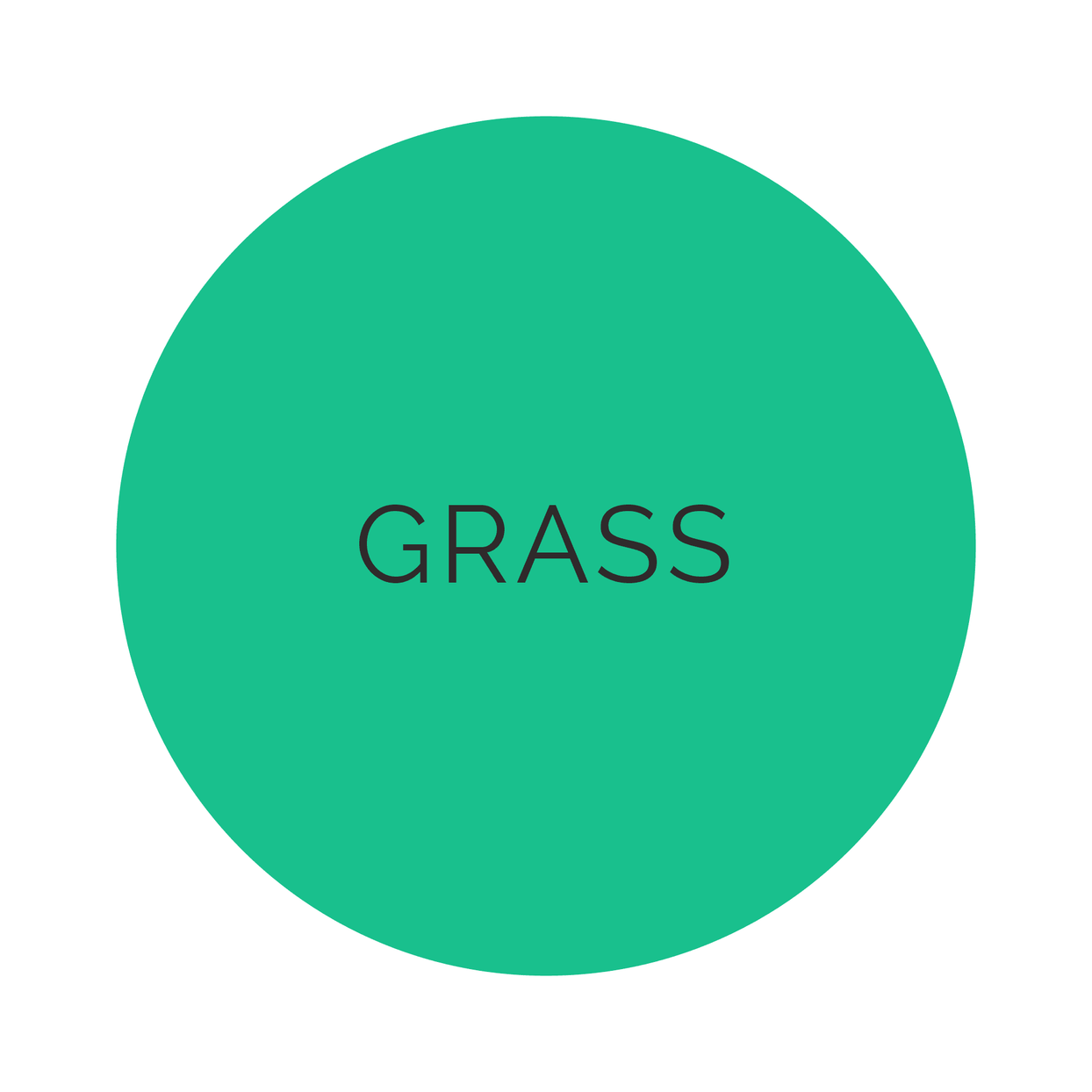 Shades Grass Dinner Plates