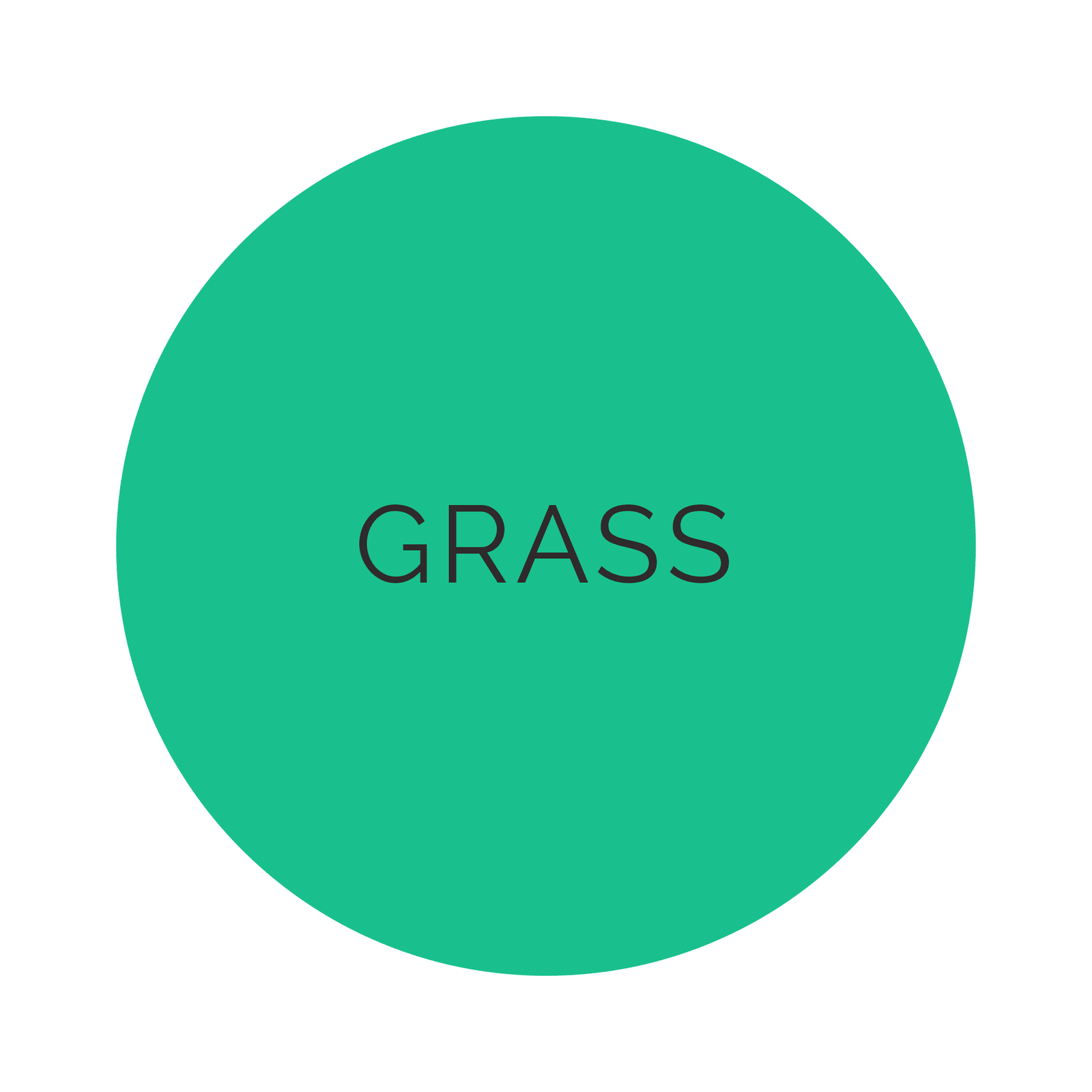 Shades Grass Dinner Plates