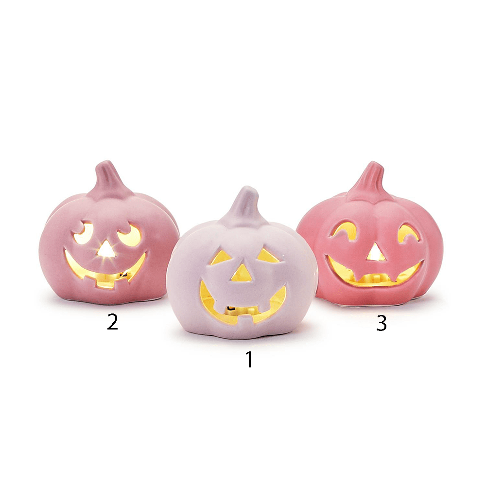 Boo-licious LED Pumpkin - 3 Style Options, Shopsweetluluss