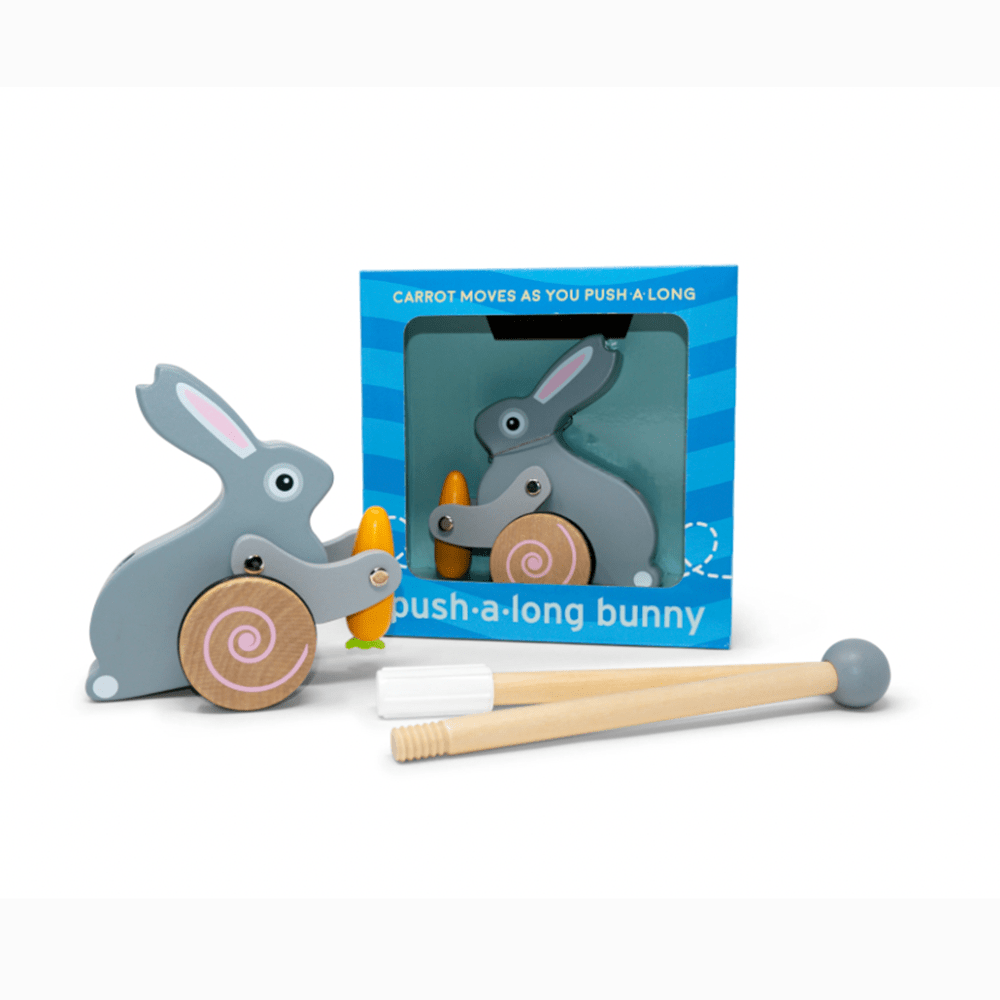 Bunny Push Toy, Shopsweetluluss