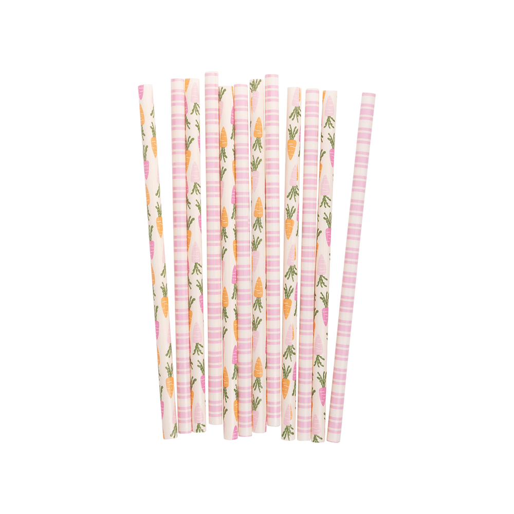 Carrots & Stripes Reusable Straws, Shopsweetluluss
