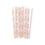 Carrots & Stripes Reusable Straws, Shopsweetluluss