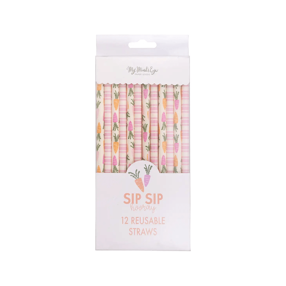 Carrots & Stripes Reusable Straws, Shopsweetluluss