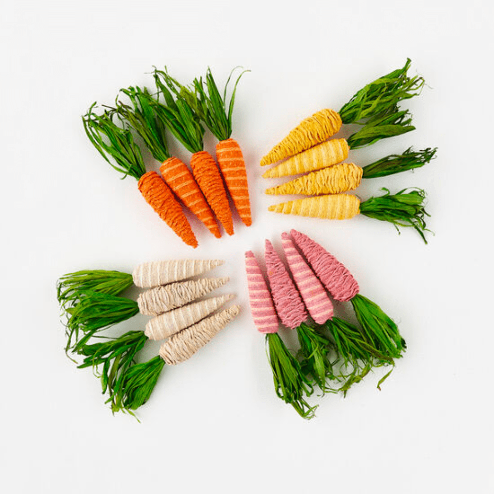 Colorful Carrots - 4 Color Options, Shopsweetluluss
