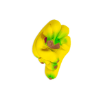 Feel Better De-Stress Ball - Bananas, Shopsweetluluss