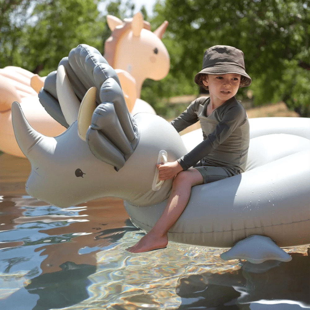 Dino Float, Shopsweetluluss