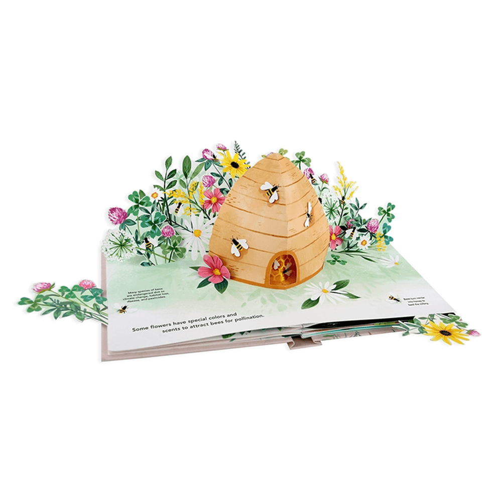 Flora: A Botanical Pop-up Book, Shopsweetluluss