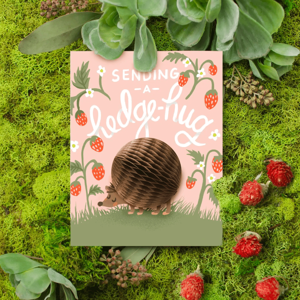 "Sending a Hedge-hug" Friendship/Encouragement Card