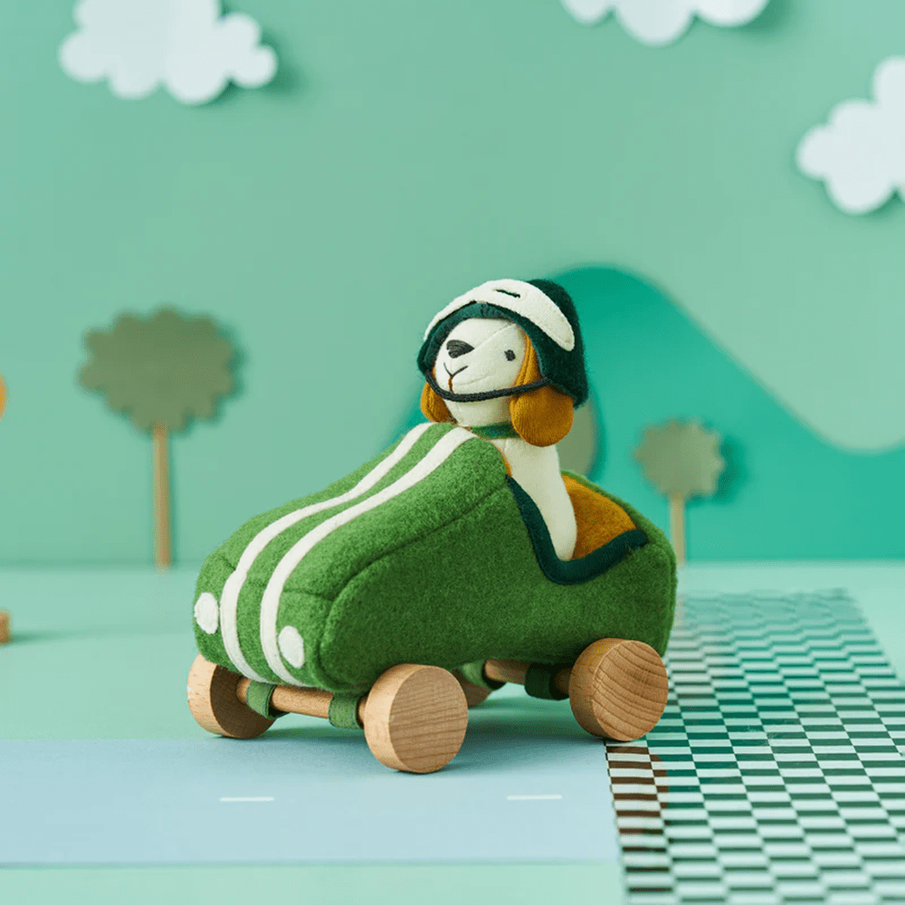 Holdie Dog-Go Racer - Boy, Shopsweetluluss