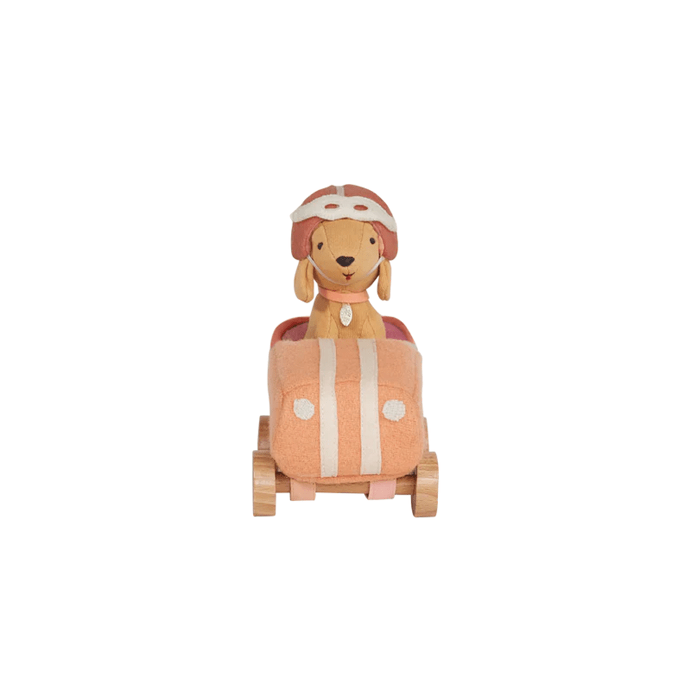Holdie Dog-Go Racer - Girl, Shopsweetluluss