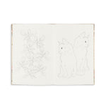 House of Flowers Coloring Book, Shopsweetluluss