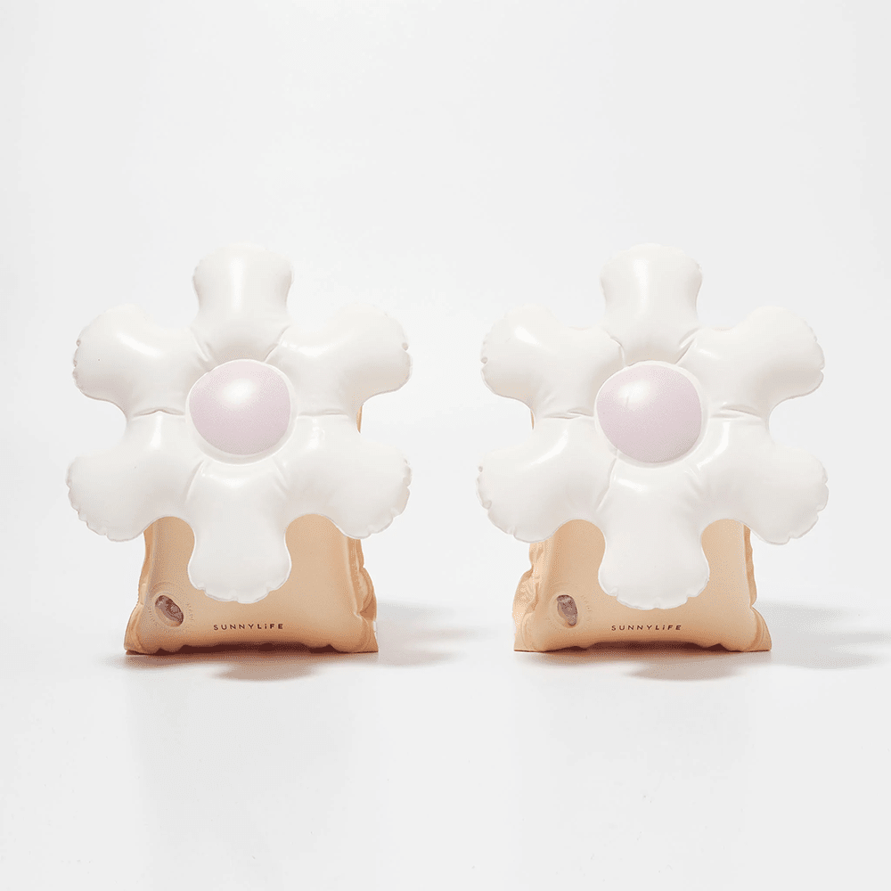 Inflatable Arm Bands - Princess Swan Multi, Shopsweetluluss