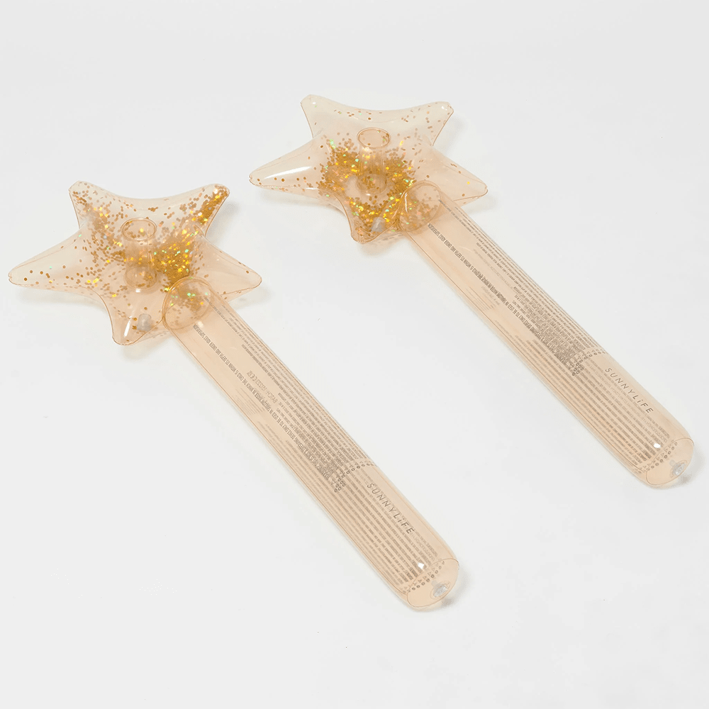 Kids Inflatable Noodle Set - Princess Swan, Shopsweetluluss
