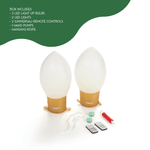Light Up Holiday Bulb Decor - 2 Pk., Shopsweetluluss