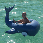 Luxe Ride-On Float - Whale, Shopsweetluluss