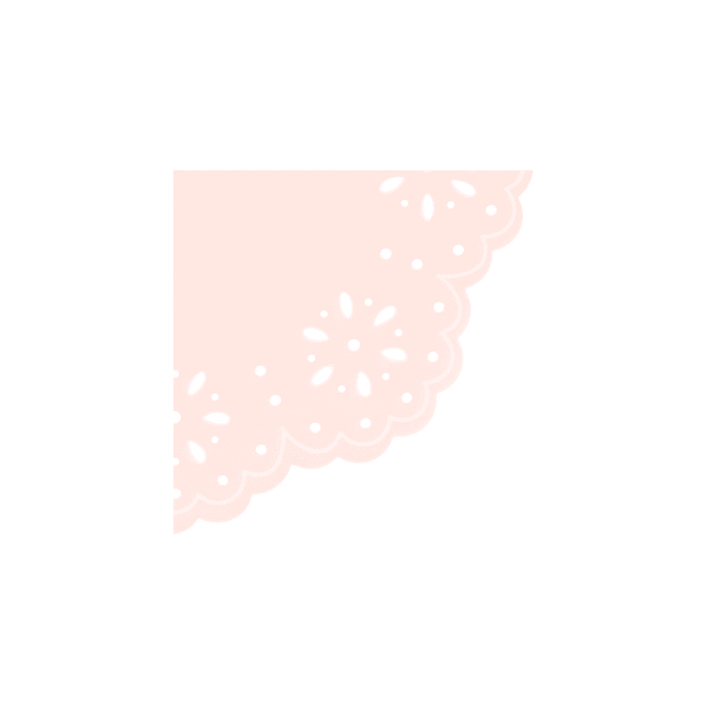 Meri Meri Broderie Anglaise Lace Multi Small Napkins, Shopsweetluluss