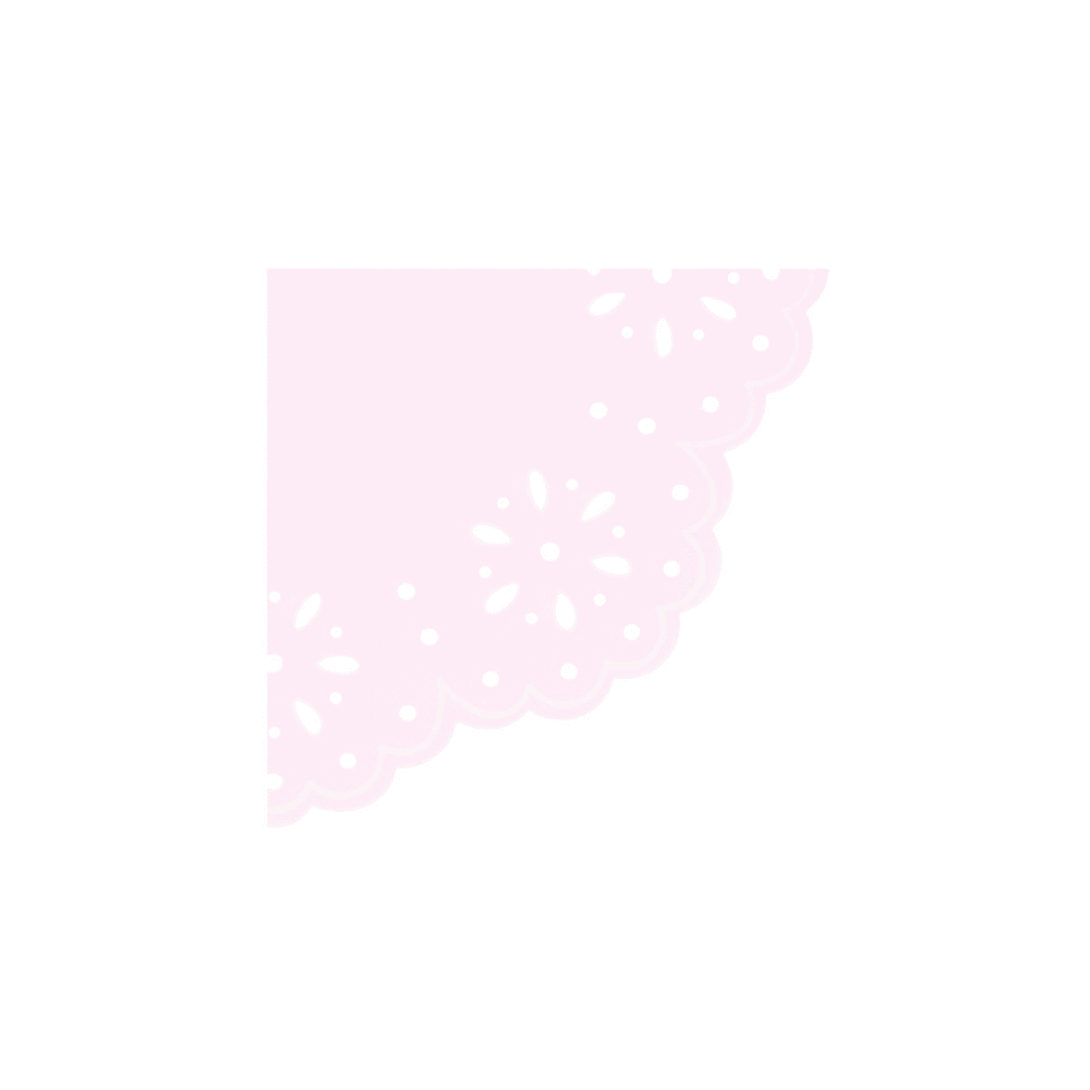 Meri Meri Broderie Anglaise Lace Multi Small Napkins, Shopsweetluluss