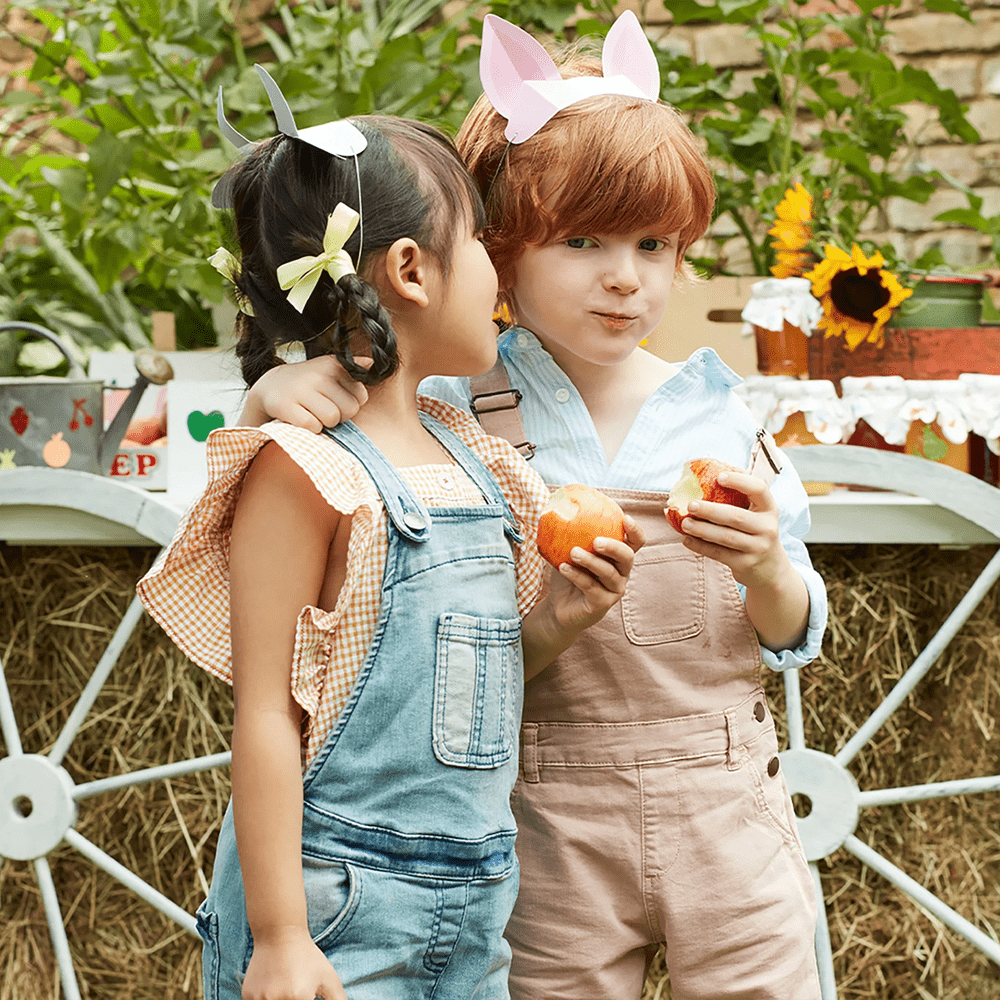 Meri Meri On the Farm Animal Ears, Shopsweetluluss