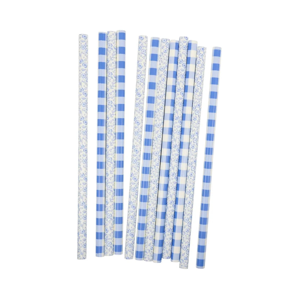 My Mind's Eye Blue Plaid Floral Reusable Straws, Shopsweetluluss