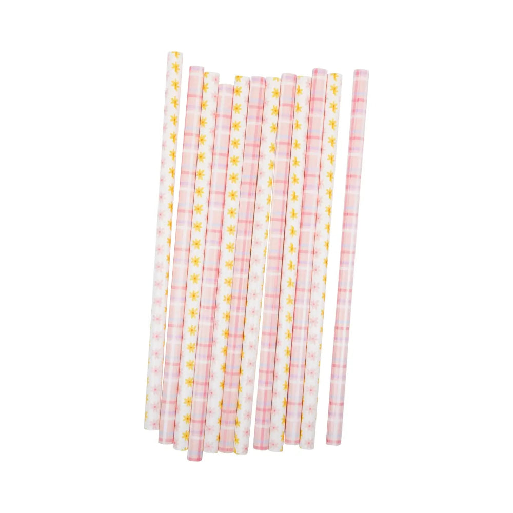 My Mind's Eye Pink Plaid Flowers Reusable Straws, Shopsweetluluss