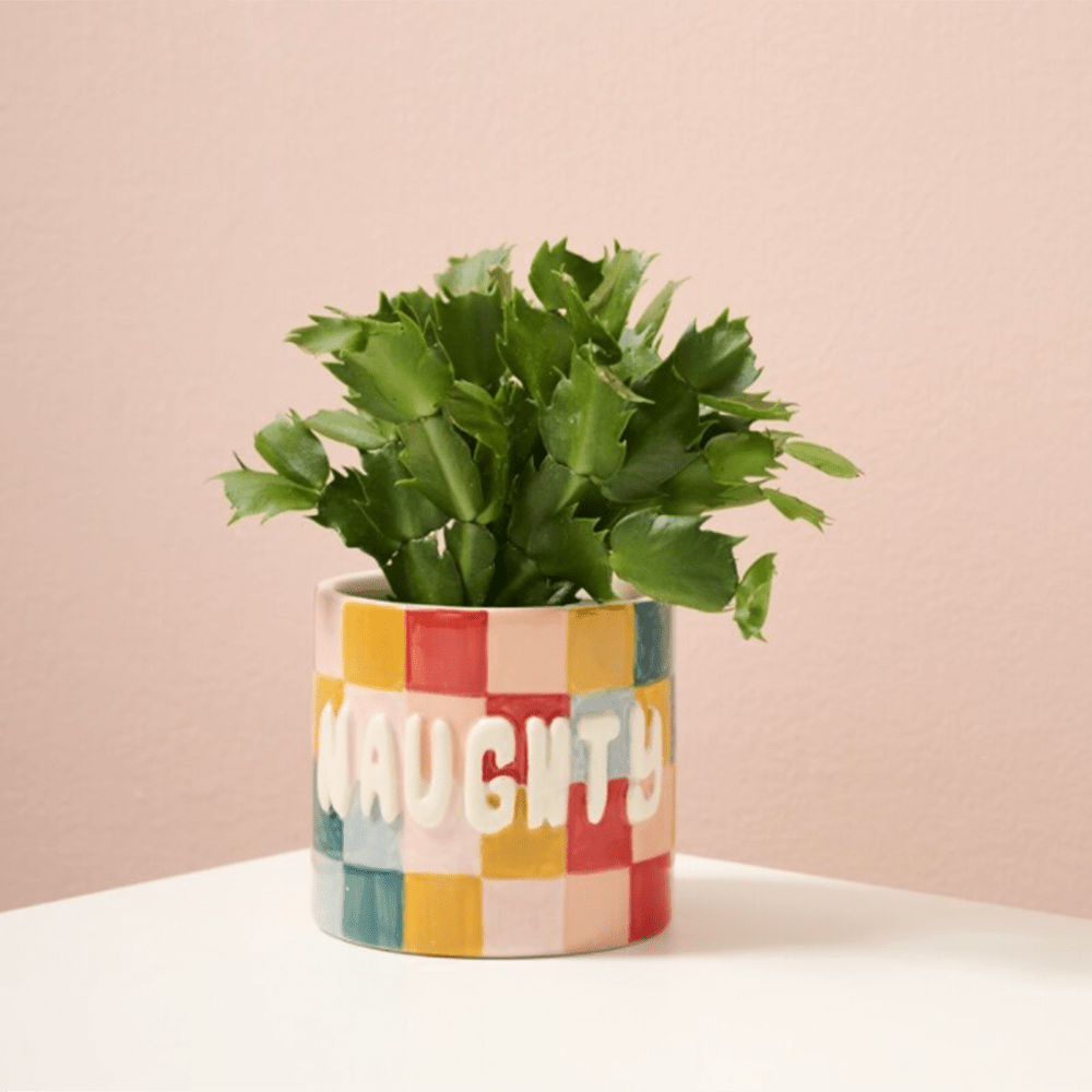 Naughty or Nice Planter, Shopsweetluluss