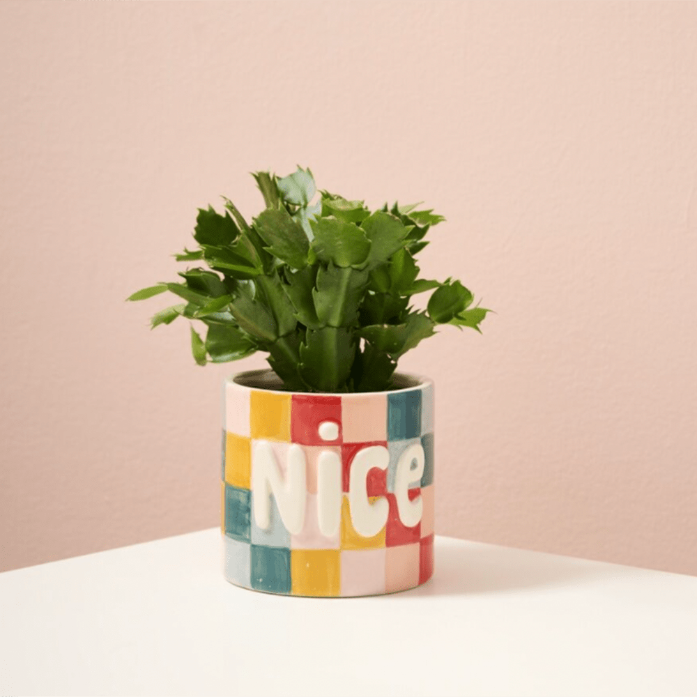 Naughty or Nice Planter, Shopsweetluluss