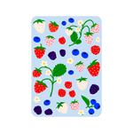 Oops All Berries Iron-on Sheets, Pack of 2, Shopsweetluluss