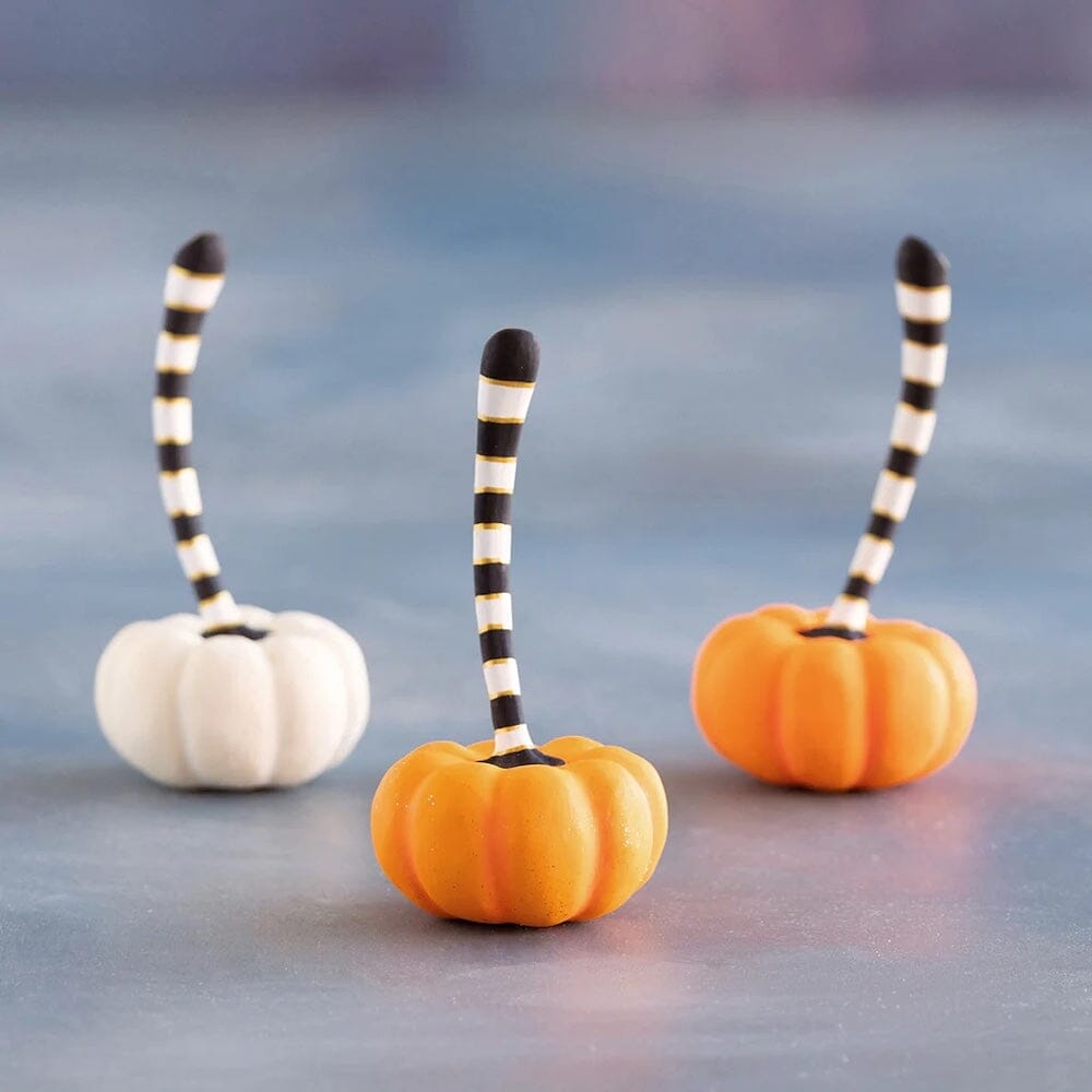 Orange & Cream Pumpkin, Small - 3 Color Options, Shopsweetluluss