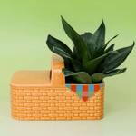 Picnic Basket Planter, Shopsweetluluss
