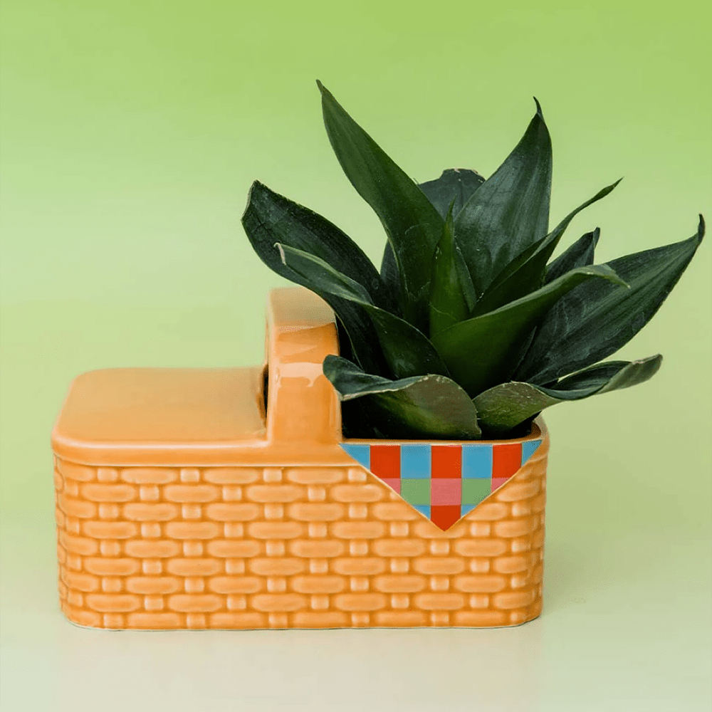 Picnic Basket Planter, Shopsweetluluss