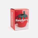 Farmers' Market - Raspberry Vase