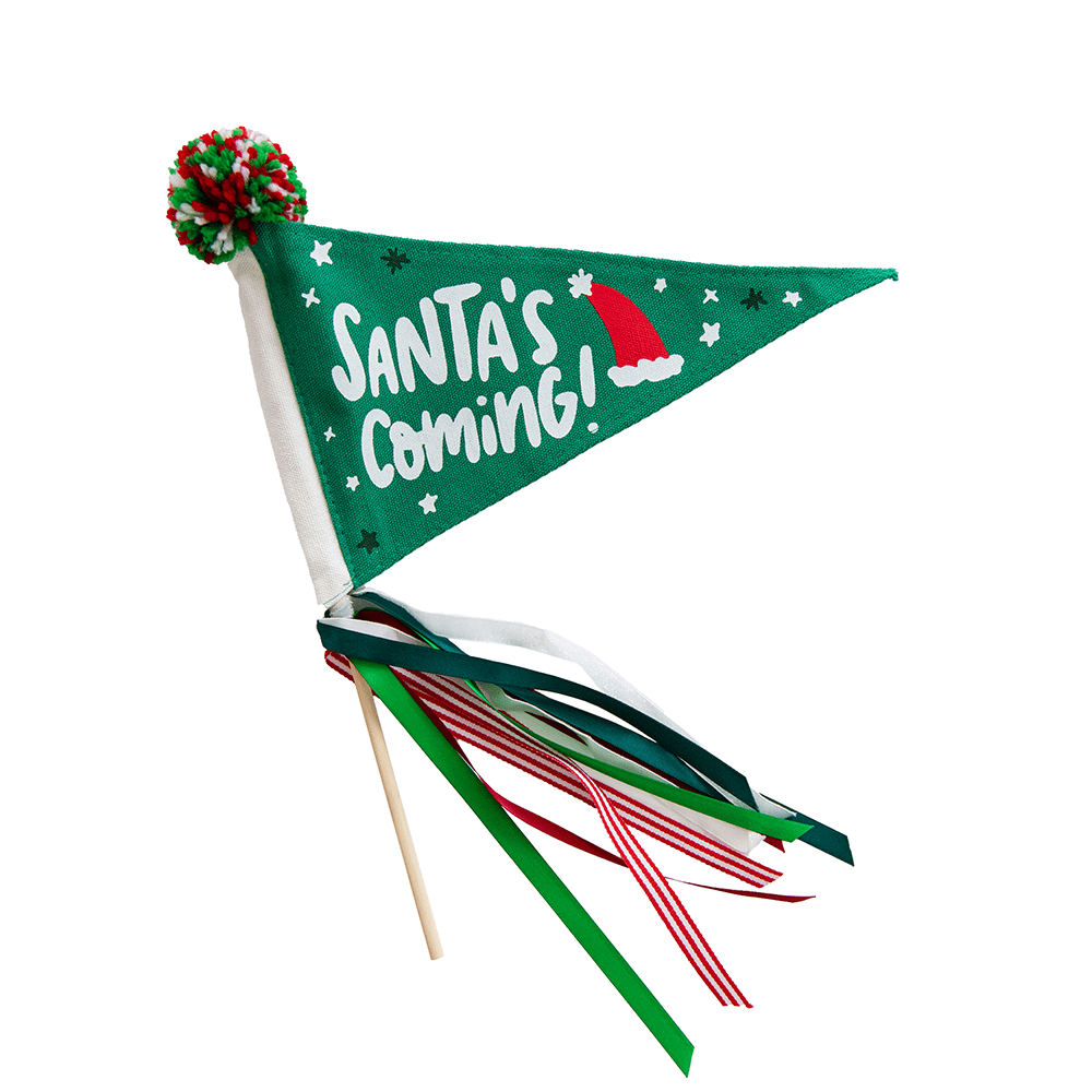 Santa's Coming Mini Pennant Flag, Green, Shopsweetluluss