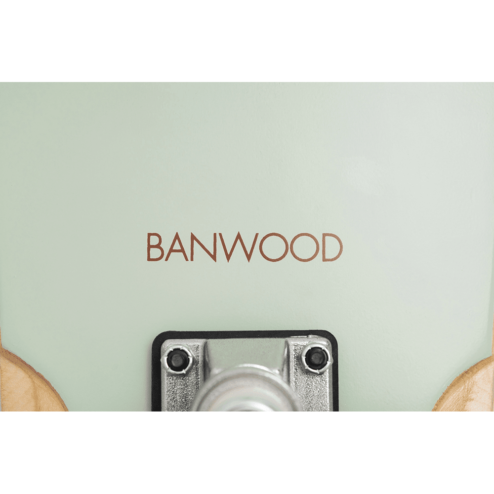 Small Cruiser Skateboard - Mint, Shopsweetluluss
