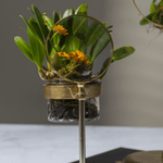 Spyglass Pot, Shopsweetluluss