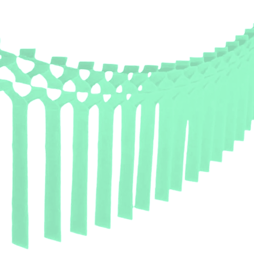 Tissue Streamer Garland - Mint, Shopsweetluluss