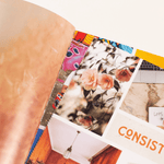 The Vision Board Book: 700+ Words & Images, Shopsweetluluss
