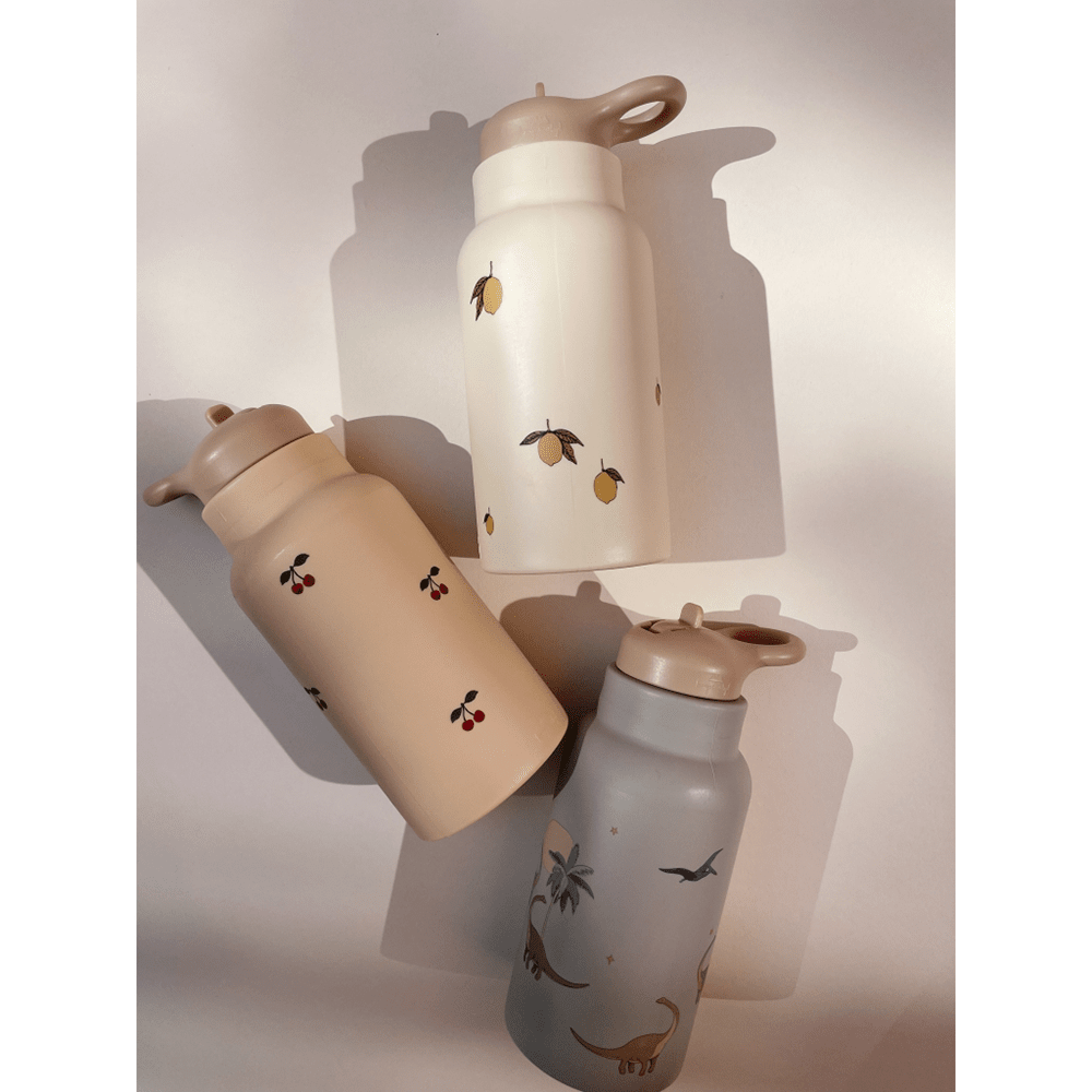 Water Bottle - Dino, Shopsweetluluss