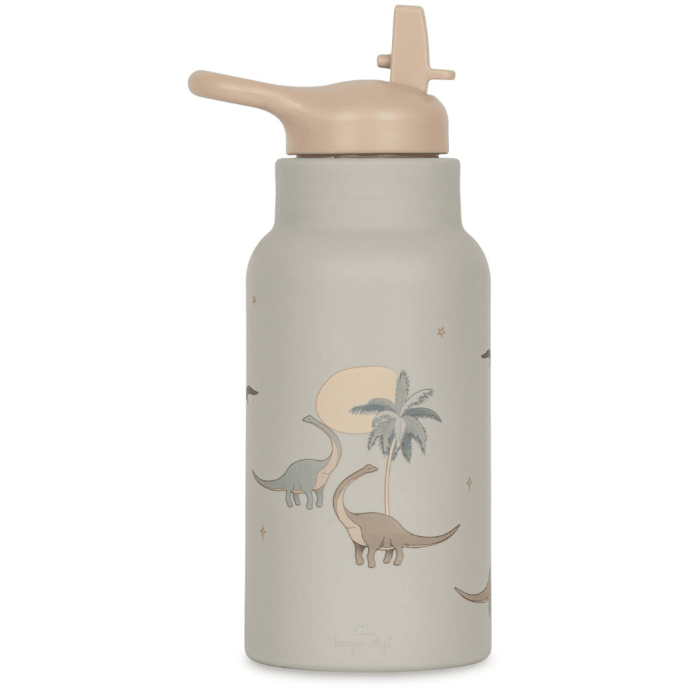 Water Bottle - Dino, Shopsweetluluss