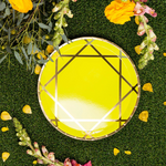 Chartreuse Enchanté Dinner Plates from Jollity & Co