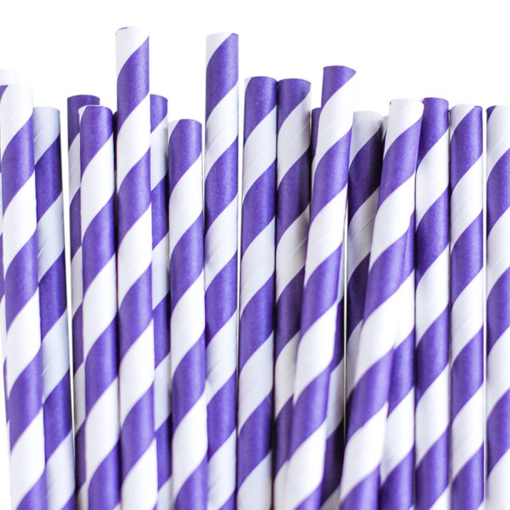 Eco Friendly Paper Straws: Violet Stripes - Shopsweetluluss