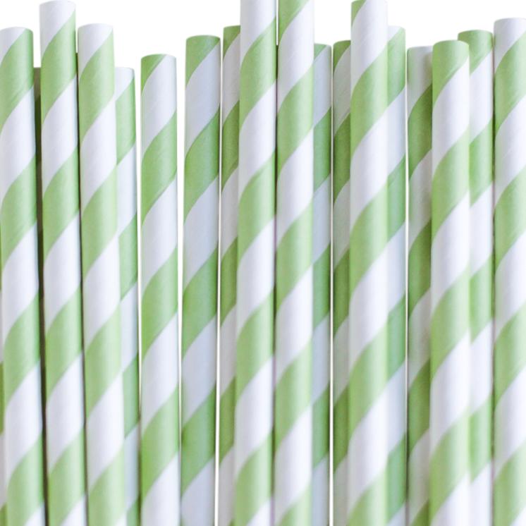 Eco Friendly Paper Straws: Apple Green Stripes - Shopsweetluluss