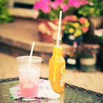 Eco Friendly Paper Straws: Simple White - Shopsweetluluss