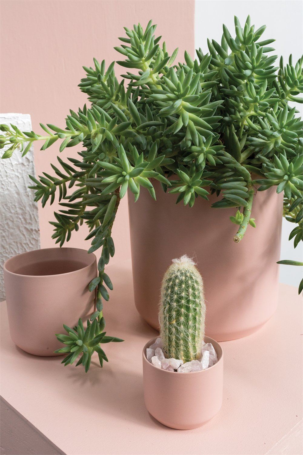 Kendall Pot